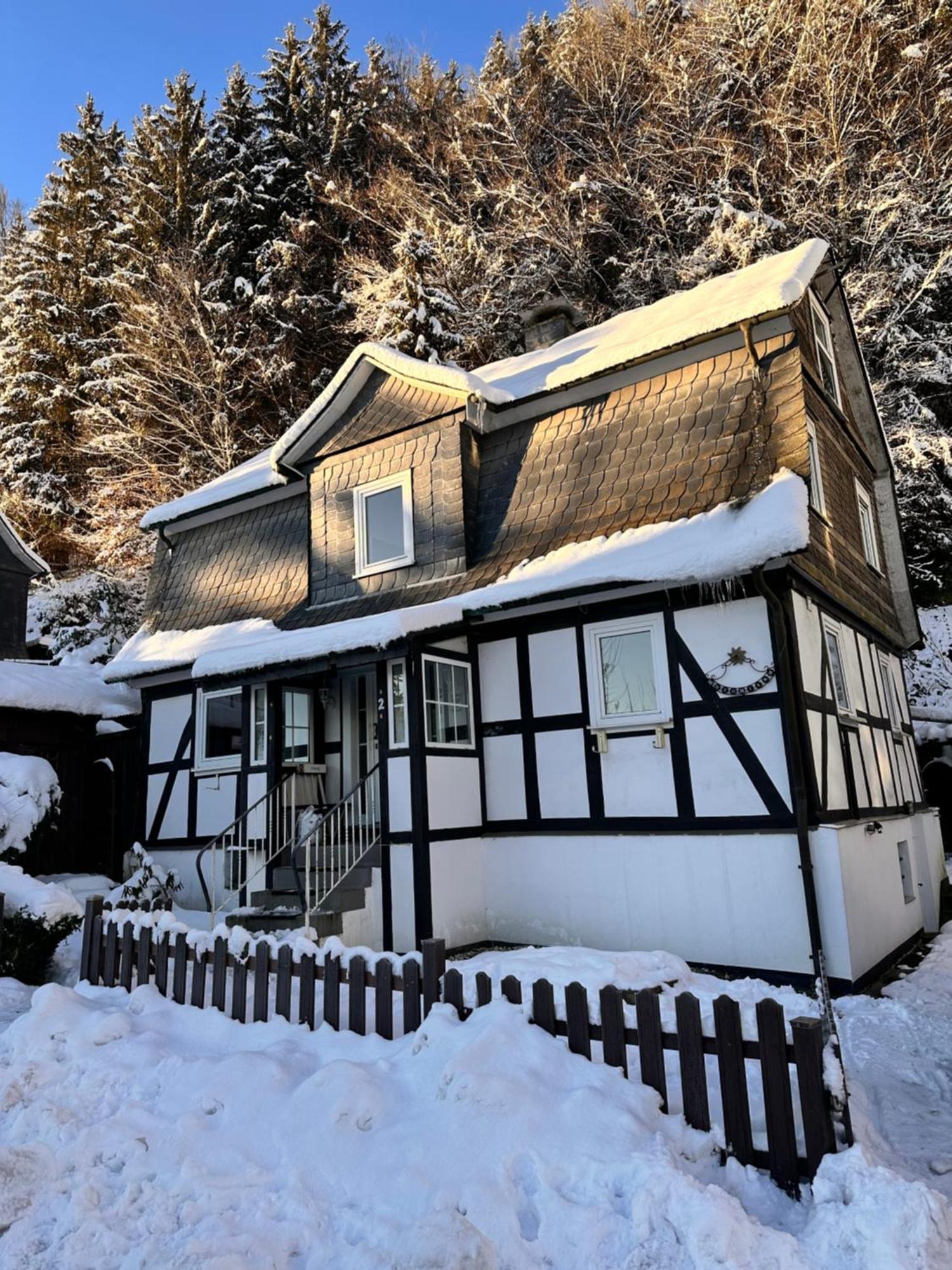 Ferienhaus Waldtraum Winterberg Eksteriør billede